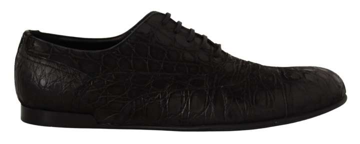 Priser på Dolce & Gabbana Elegant Exotic Leather Oxford Shoes