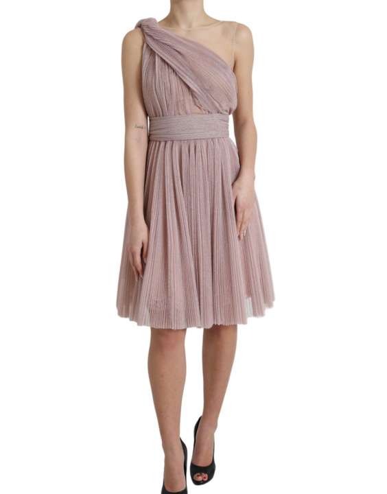 Priser på Dolce & Gabbana Elegant Asymmetrical Pink Tulle Dress