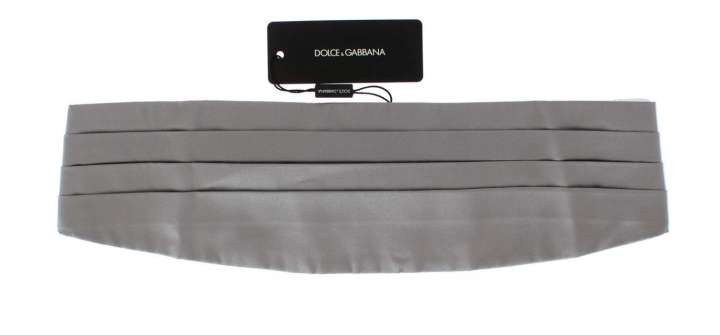 Priser på Dolce & Gabbana Elegant Silver Silk Cummerbund